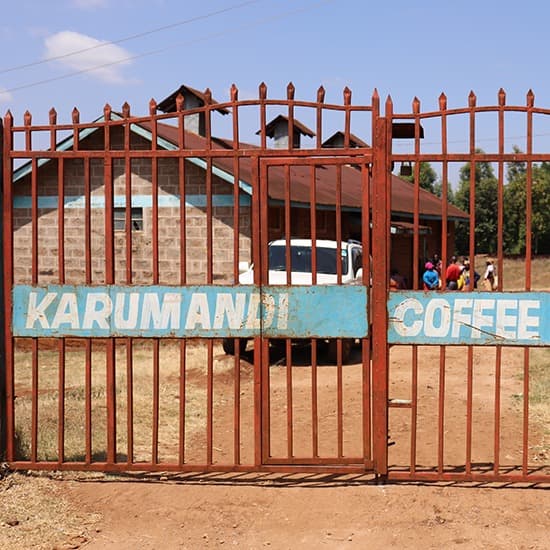 Kenya Karumandi — Medium-Dark