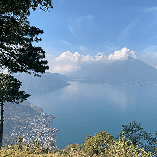 Guatemala CoE 2nd Las Macadamias Pacamara — Light Roast