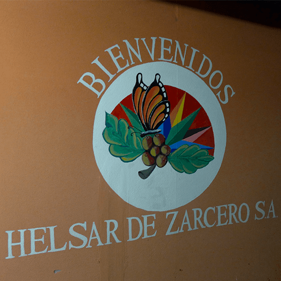 Costa Rica Helsar de Zarcero Santa Lucia Milenio Honey by Coffee Libre