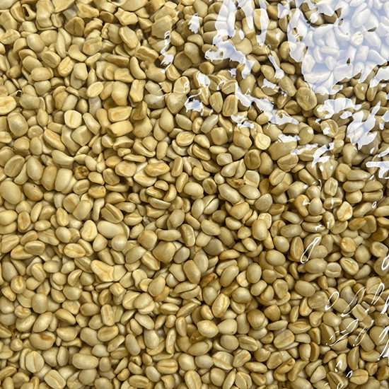Nicaragua Ojo de Agua Mogoton — Medium Dark by Coffee Libre