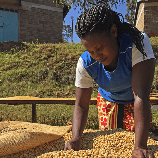 Kenya Kagumo by Coffee Libre