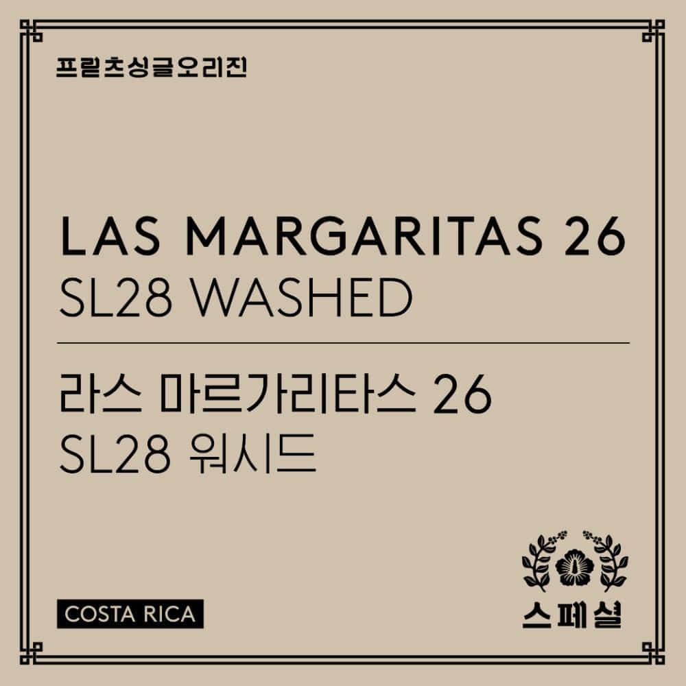 Las Margaritas 26 SL28 Washed