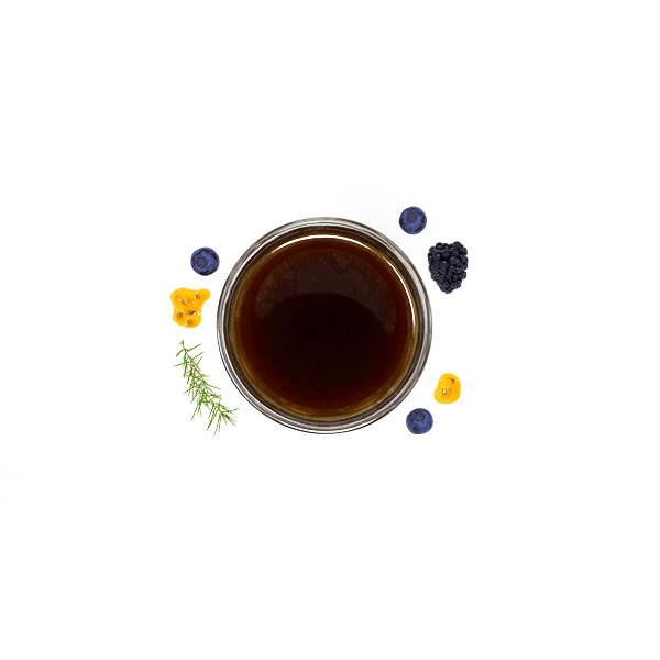 Monteblanco Purple Caturra Blueberry Co-Ferment by JBC Coffee Roasters
