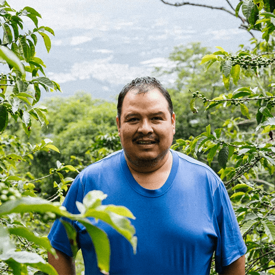 Guatemala La Bendicion — Dark Roast by Coffee Libre