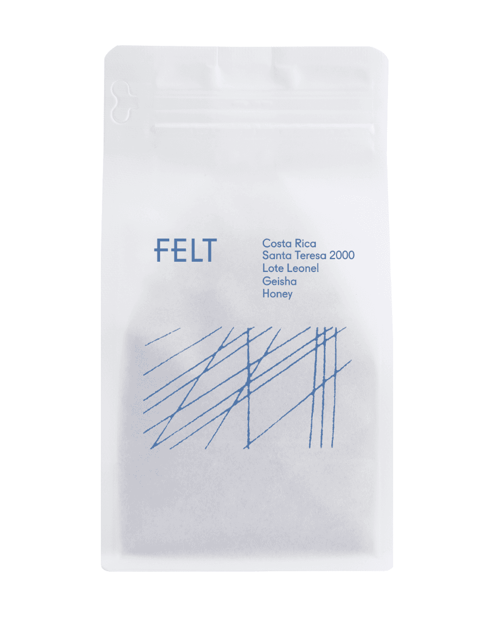 Costa Rica Santa Teresa 2000 Lote Leonel Geisha Honey by Felt Coffee