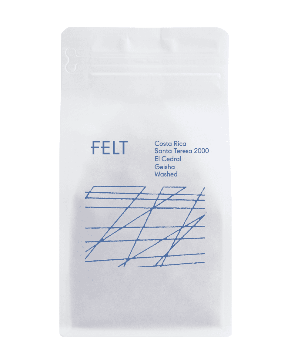 Costa Rica Santa Teresa 2000, El Cedral Geisha Washed by Felt Coffee