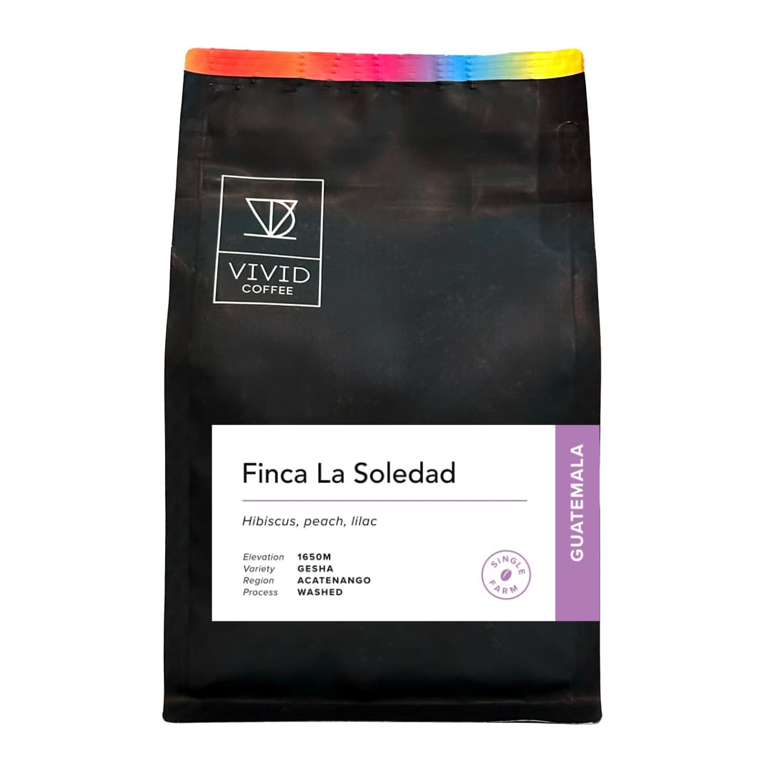 Finca La Soledad (Gesha), Guatemala by Vivid Coffee