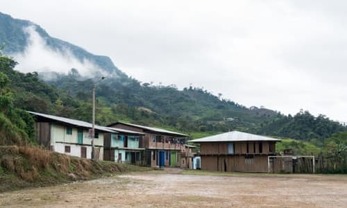 Organic Peru Lima Coffee - Cajamarca by Belux Coffee Roasters