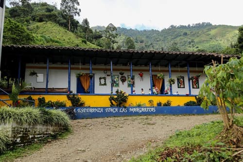 Colombia Sidra Natural - Cafe Granja La Esperanza by Belux Coffee Roasters